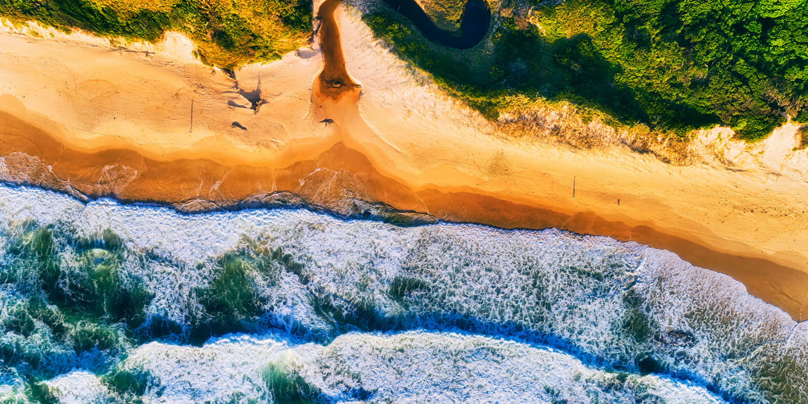 How To Find Your Perfect CBD:THC Ratio (And Why It’s Important)