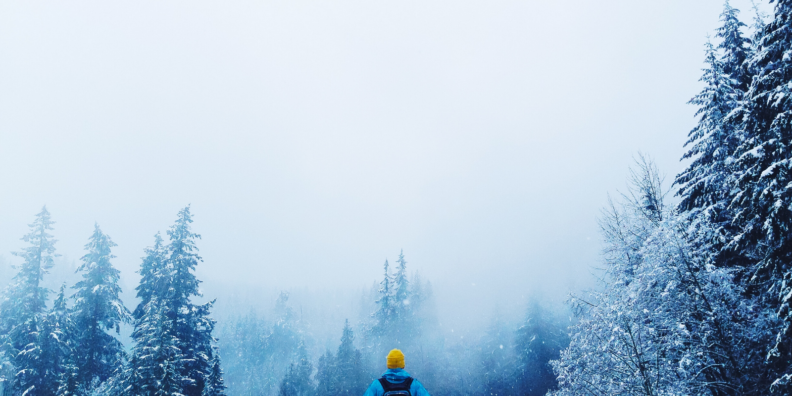 The Difference Between Smoking And Vaping Cannabis (Everything You Wanted To Know)