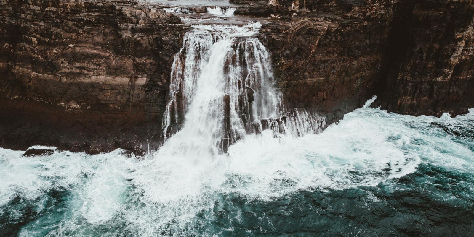 Hemp Oil Vs CBD Oil: What's The difference?