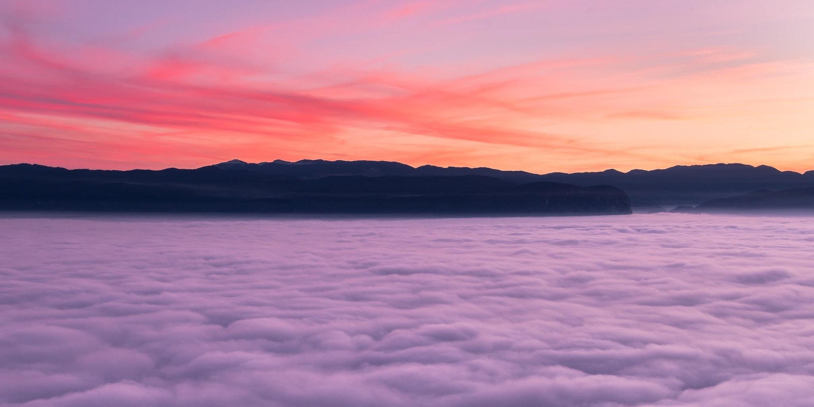 5 Things to Know About Vaping CBD