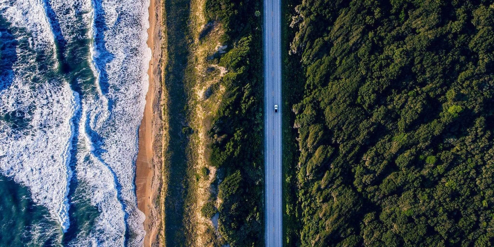 What’s the Difference Between Cannabis and Hemp?