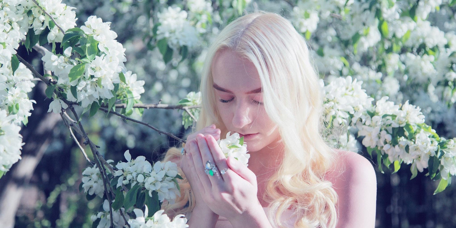 What is the endocannabinoid system?