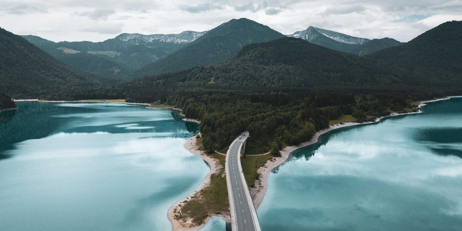 5 Tips For Buying Quality Cannabis & CBD Oil