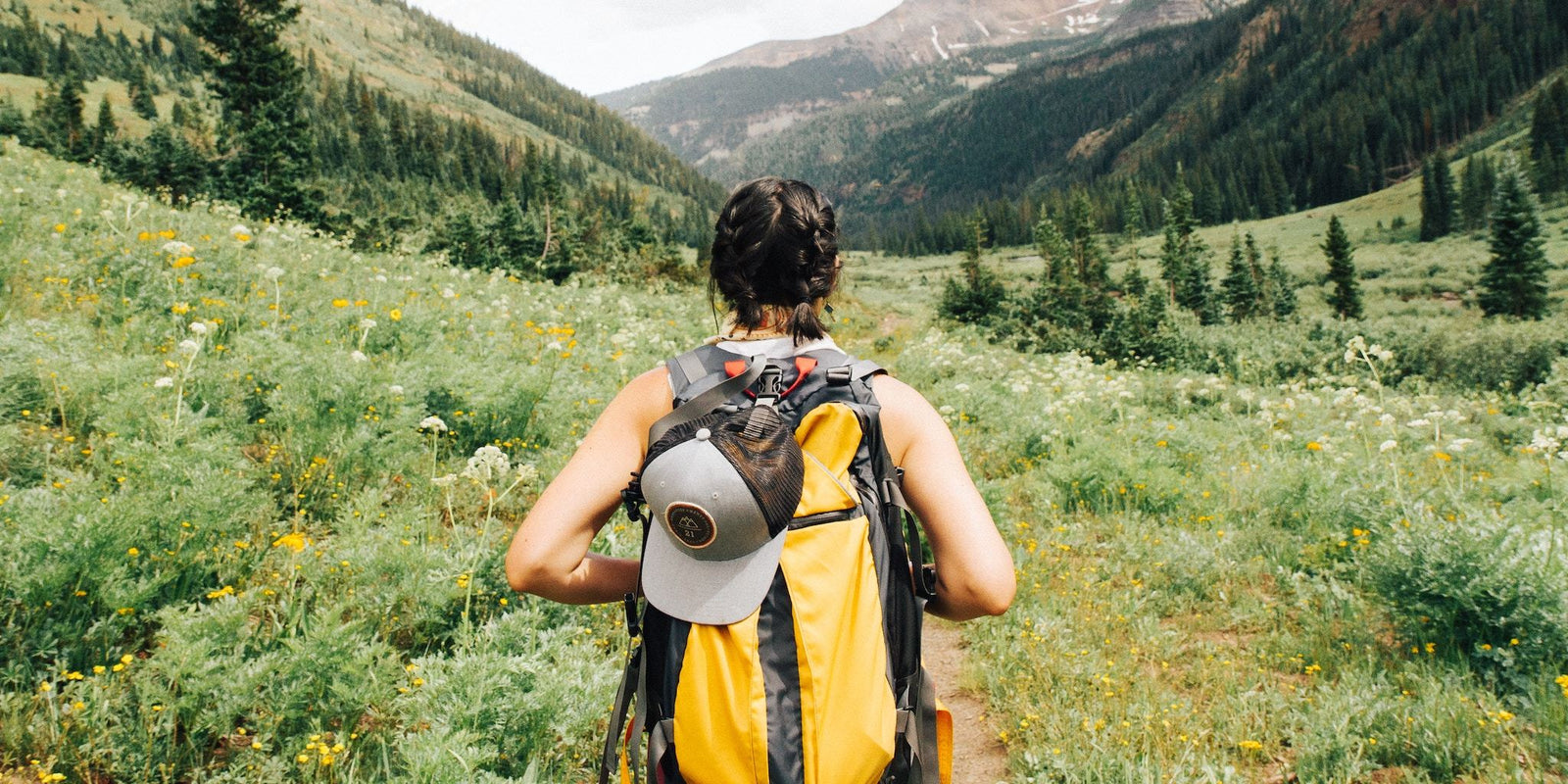 Best Vape Pen Case - What to Look For & Why They're Important